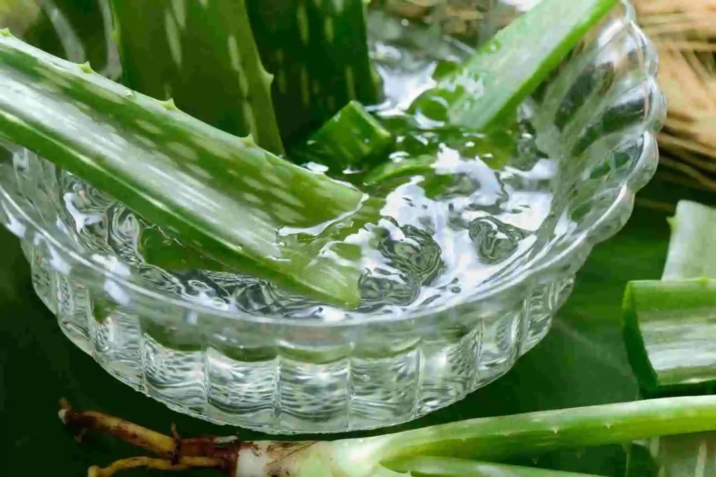 natural acne treatment for oily skin aloe vera